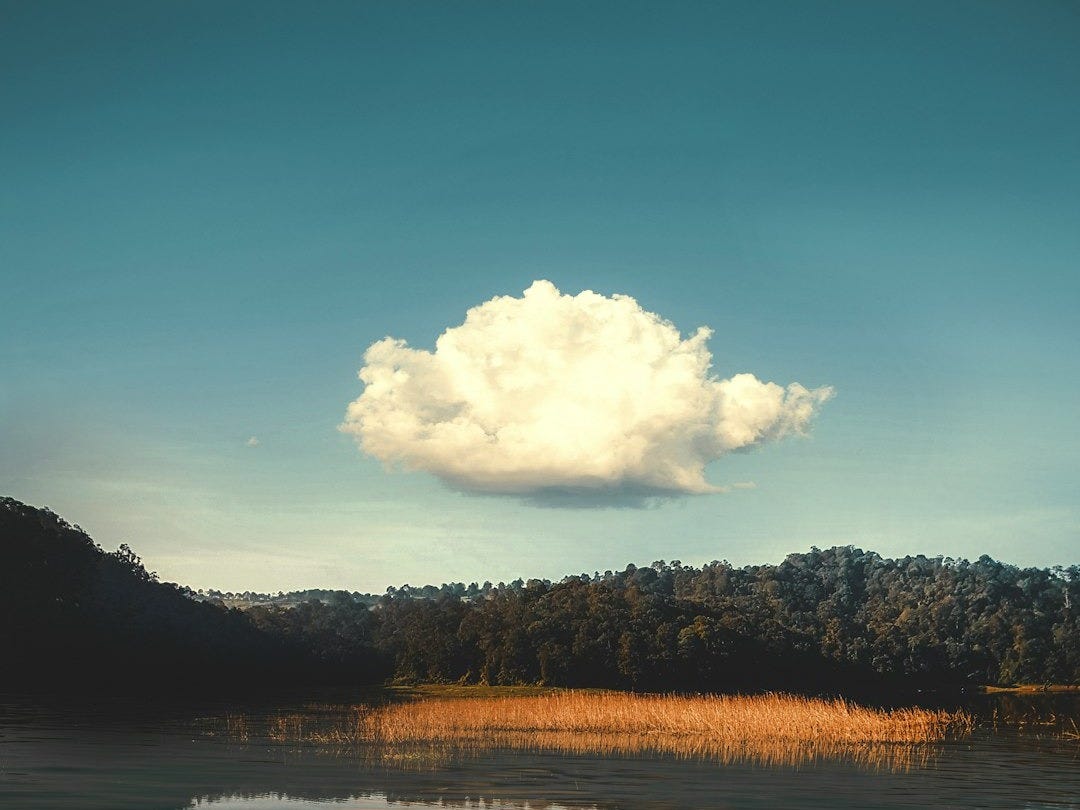 body of water near trees under blue sky during daytime body of water near trees under blue sky during daytime