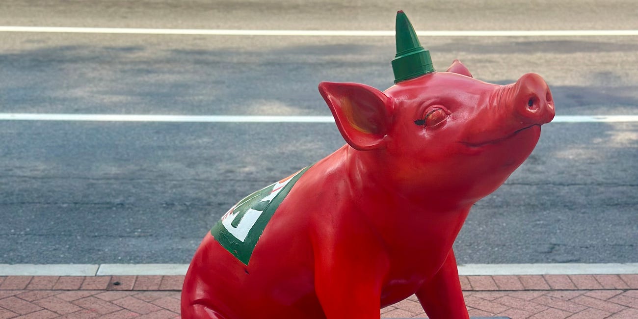 Meet the Stamford Downtown Pigs