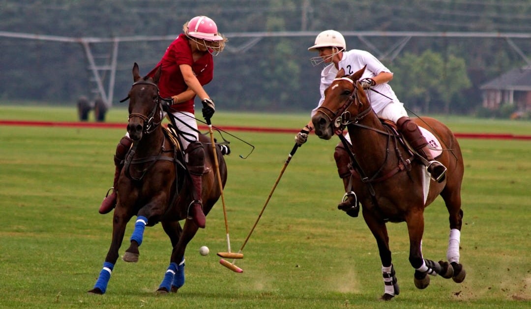 shallow focus photography of two man competing at the polo pony