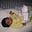 kavya's avatar
