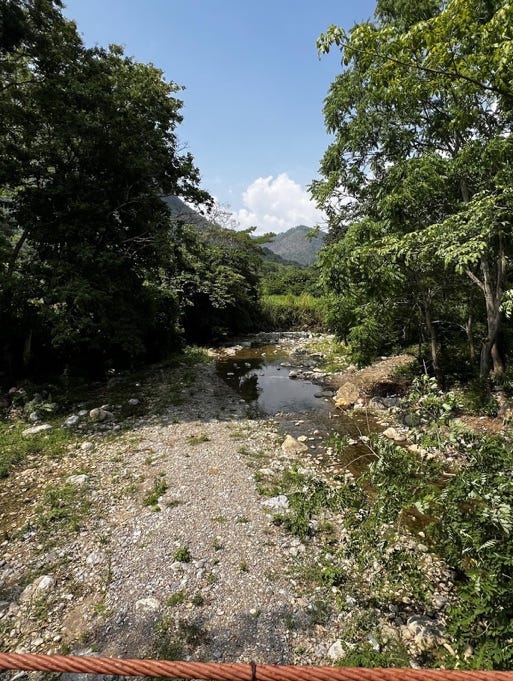 A stream running through a forest
AI-generated content may be incorrect. A stream running through a forest
AI-generated content may be incorrect.