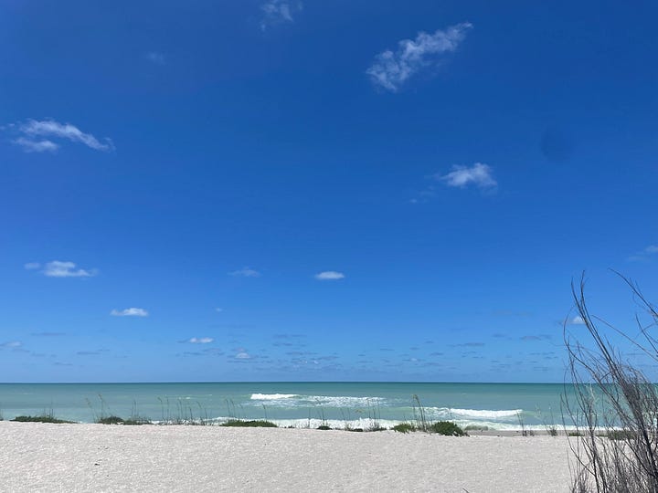 First picture of an aqua pool surrounded by beige tile with palm trees in the background. Second picture of a soft waves coming onto a white sand beach with some reeds and shrubs.
