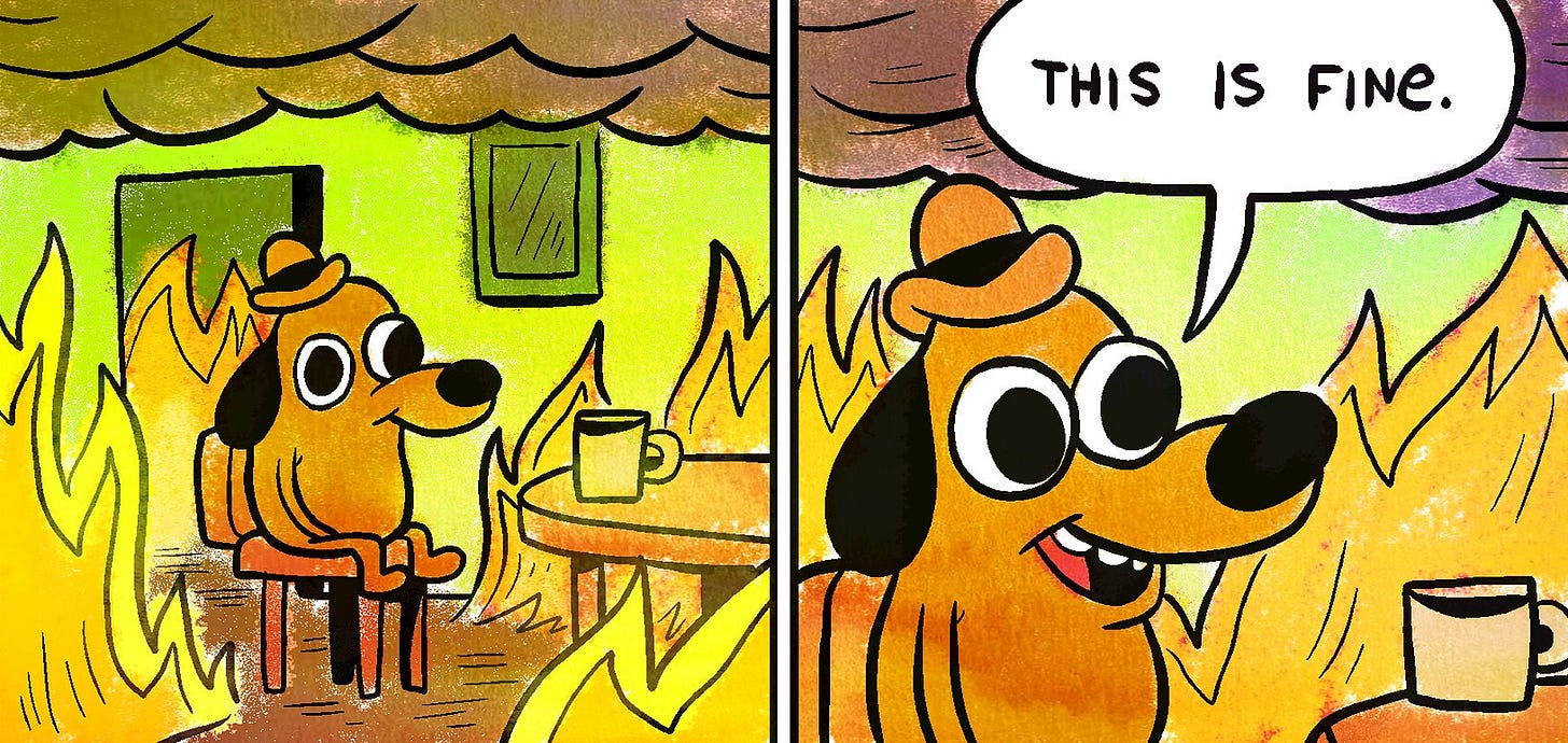 this is fine dog in flames