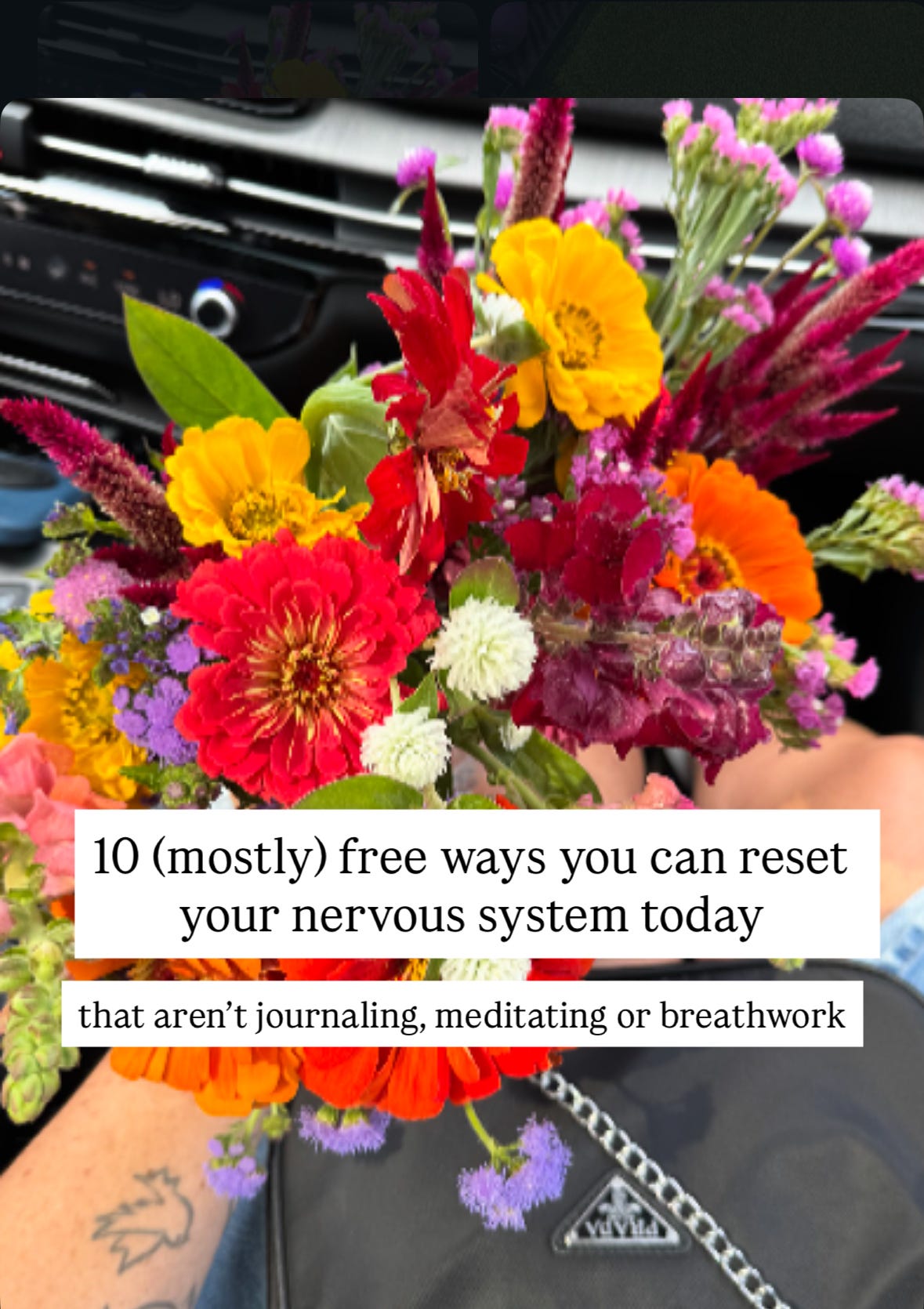 10 {Mostly} Free Ways To Reset Your Nervous System Today - No ...