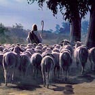 Know Christ, Know Peace