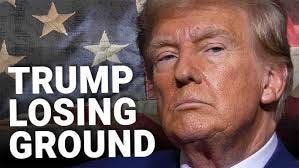 Trump is losing election by 'race ...