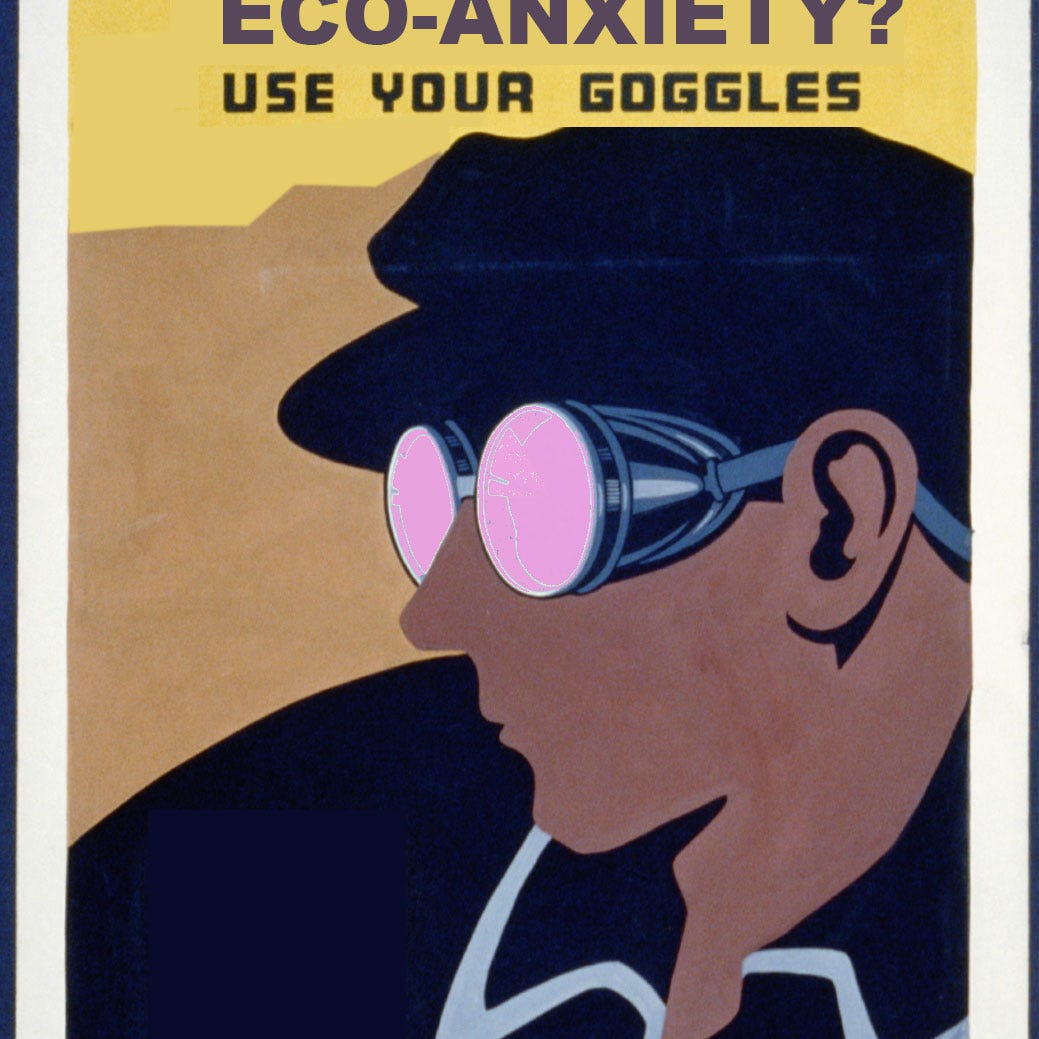 Blissful Frogs with Dr Coralie Sanderson