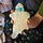 OG Cookie Lady- less stabby on Wonkette