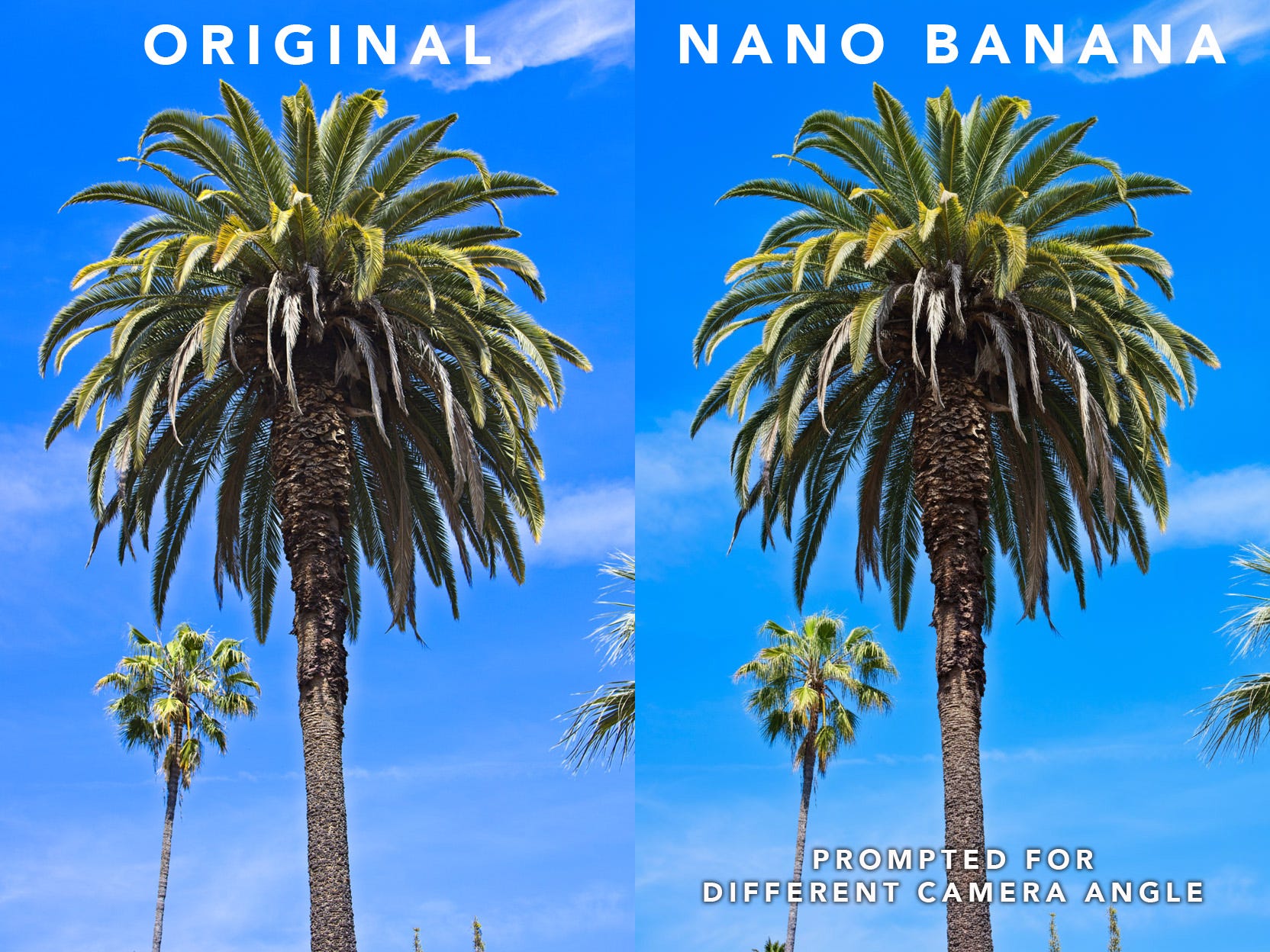 Why AI Models Struggle With Changing Camera Angles (Especially When We ...
