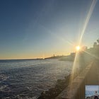 Vitamin D levels are linked to Dementia and so much more: Simple Ways to Increase Your Levels