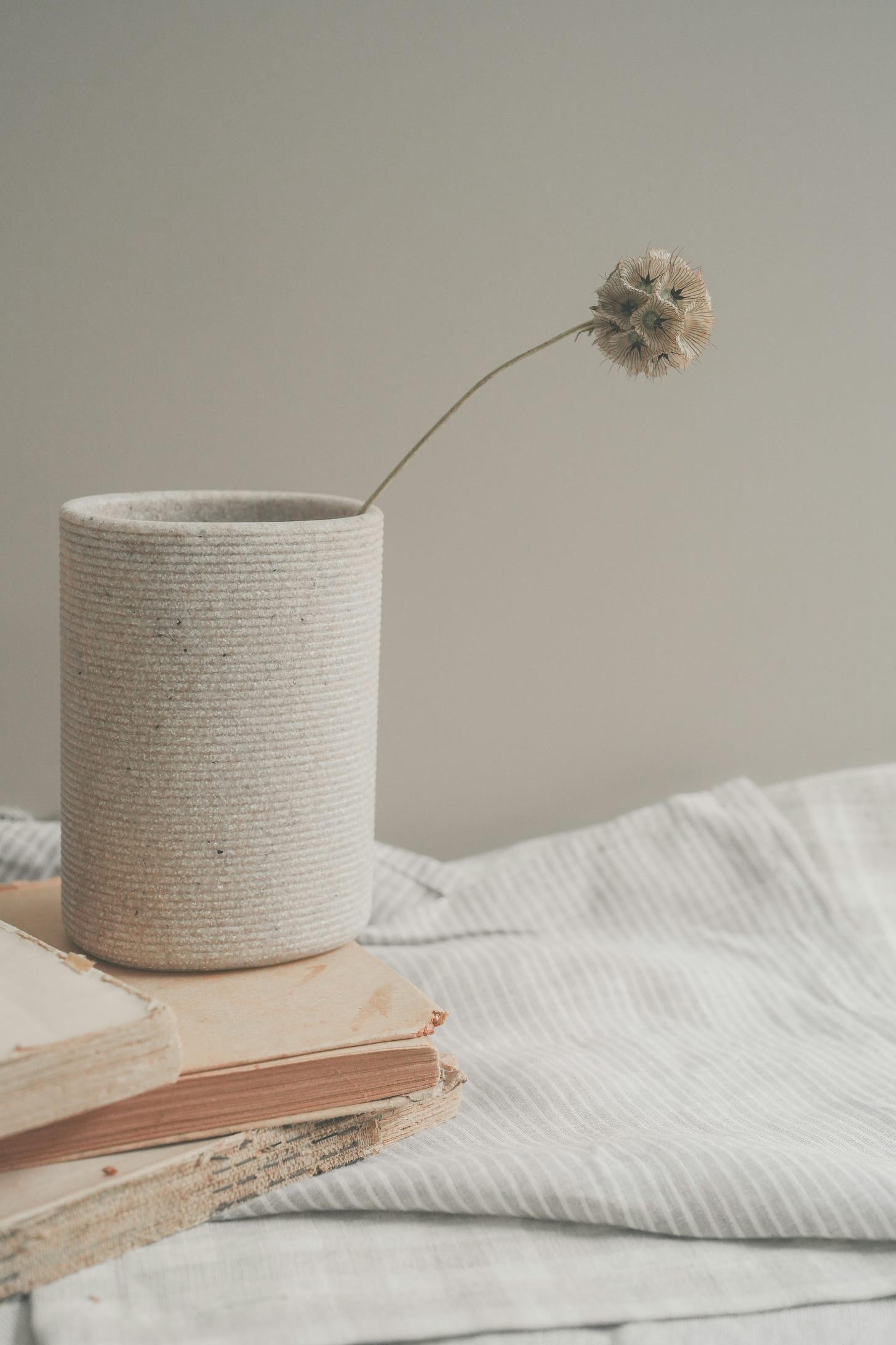 A single dried flower in a textured ceramic cup sits on top of two closed books, with a striped fabric in the background. A single dried flower in a textured ceramic cup sits on top of two closed books, with a striped fabric in the background.