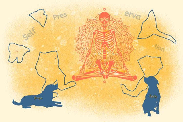 Skeletal Meditations of The Body Skeletal Meditations of The Body