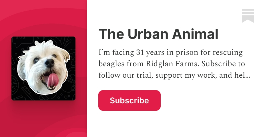 The Urban Animal | Dean Guzman Wyrzykowski | Substack