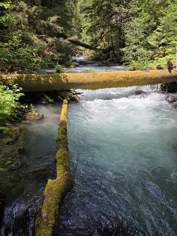 olympic mountain streams