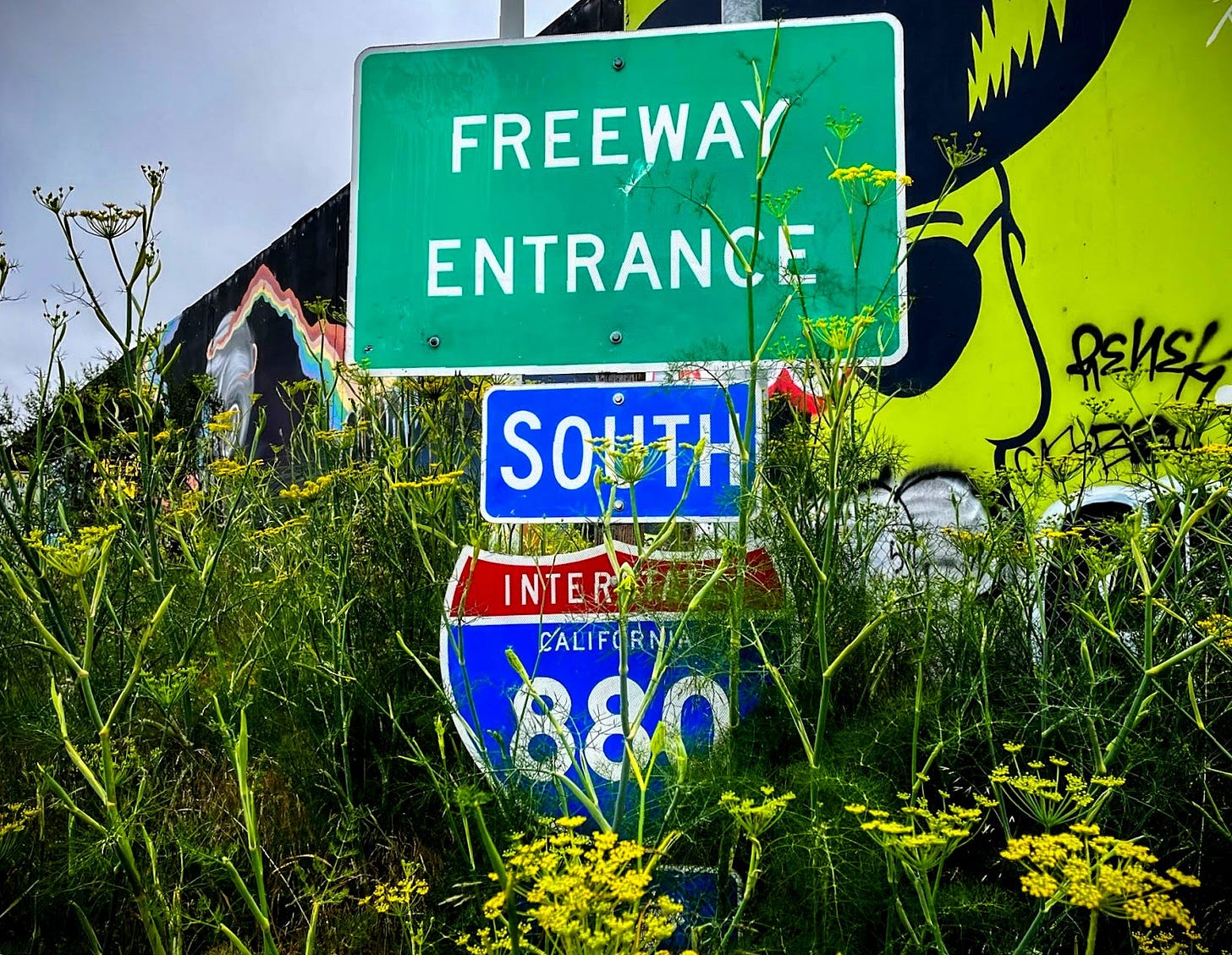 Freeway entrance sign. Oakland, California, June 20, 2024. (Image source: Drew Murray / Creative Commons)