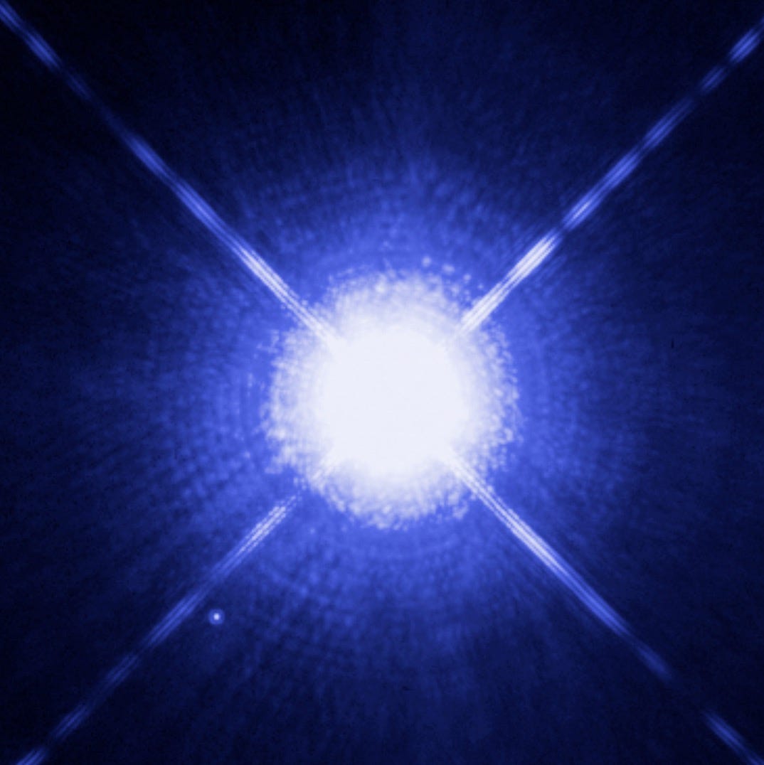 Artwork for Canis Beta Howling