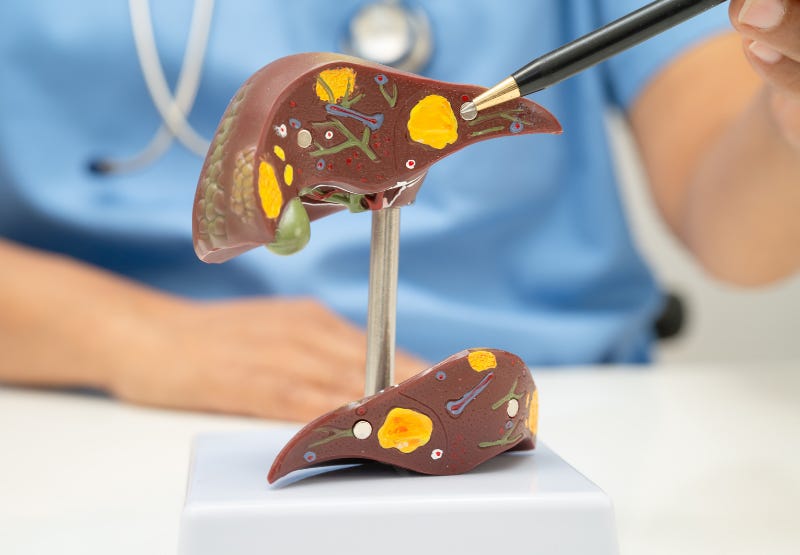 Liver Health Liver Health