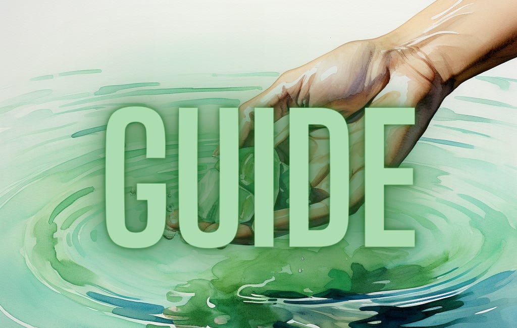 Guide: The Child Turned to Stone