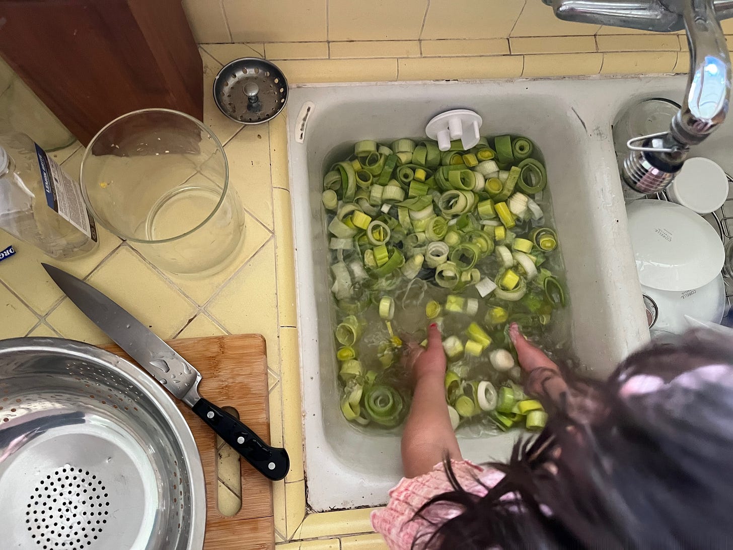 cleaning leeks in my sink