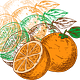 Dispatches from Orange