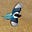 Galactic's avatar