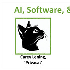🗣️ AISW #042: Carey Lening, Ireland-based data protection expert 