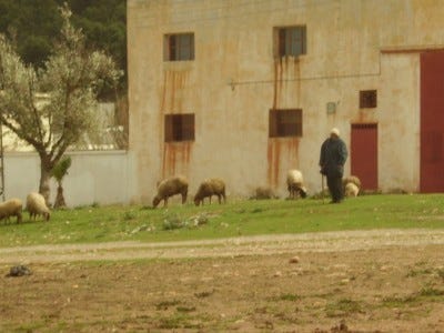 Moroccan country life small town Morocco