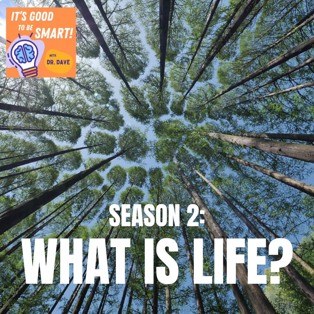 A promotional image for the podcast: the words "Season 2: What is Life?" are superimposed on a forest view looking up towards the sky with towering trees reaching upward.