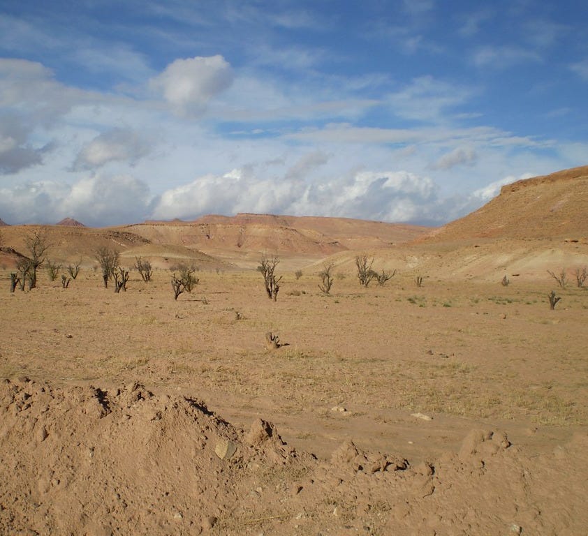Western Sahara desert