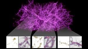 How the humble slime mold helped physicists map the cosmic web ...