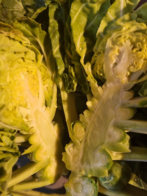 At the farmers' market December