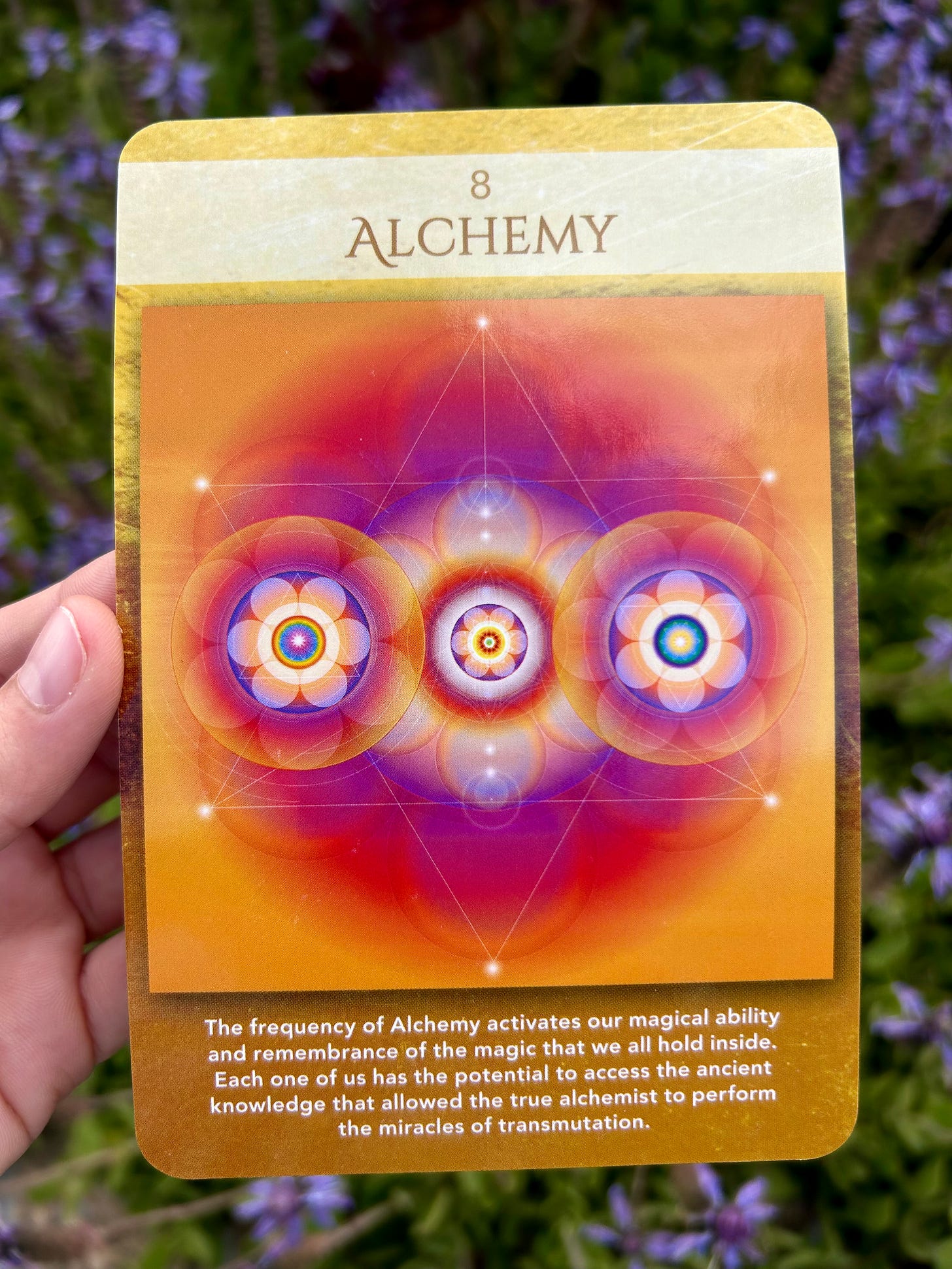 8 - Alchemy - Sacred Geometry Activations Oracle
