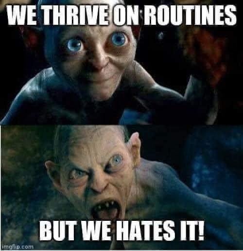 Back to the routine today, oh joy : Second Language Strategies