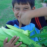 Eight Dollars and Change