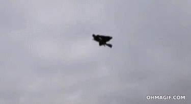Flying Broom Stick GIF Flying Broom Stick GIF
