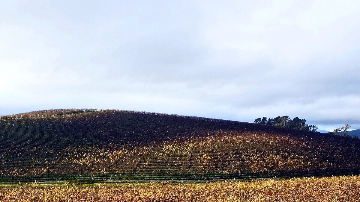 Windows Xp Corocs Windows XP turns 25, and it still beats Windows 8 in usage