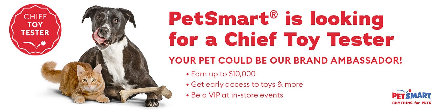 PetSmart Chief Toy Tester