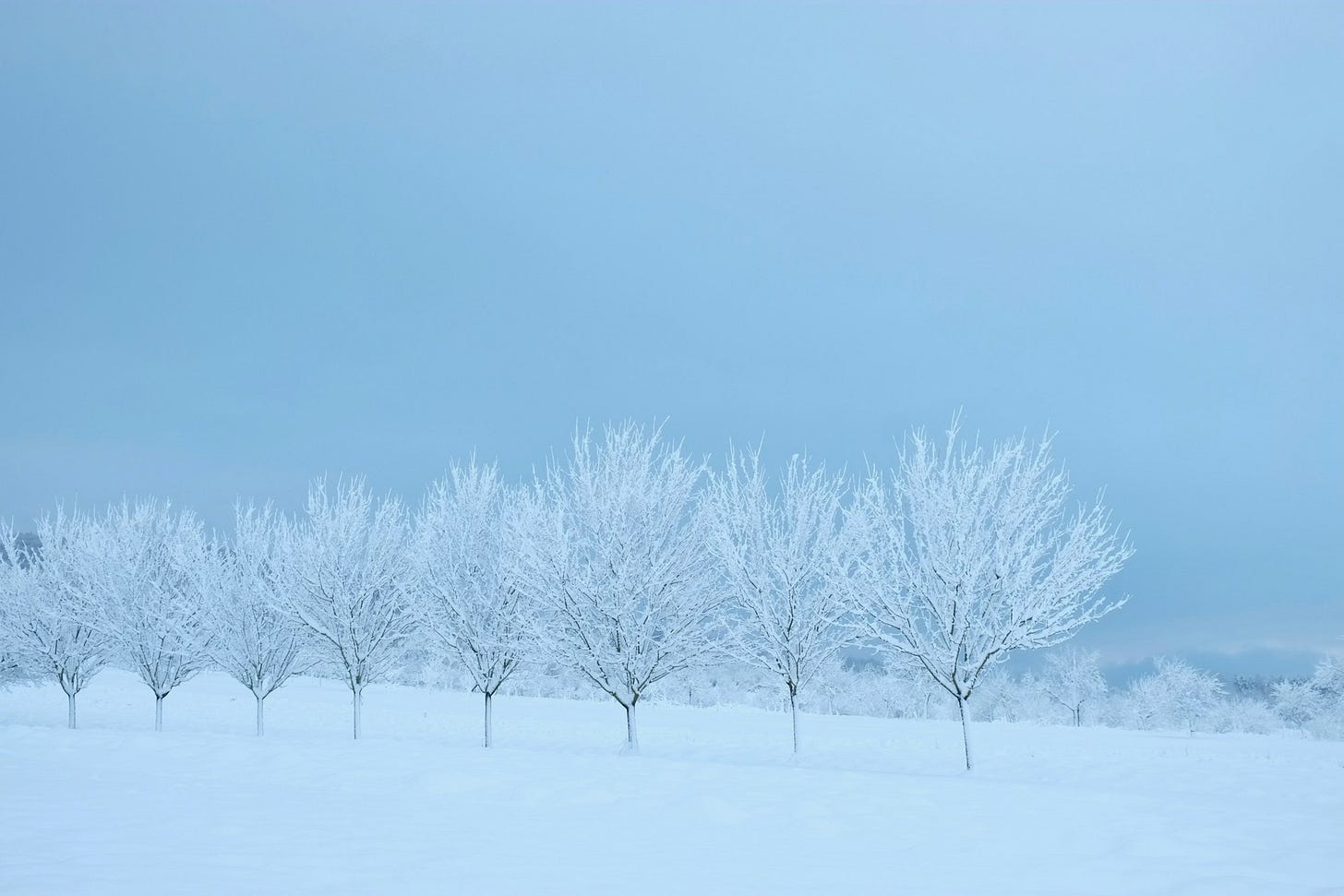 A Functional Medicine Approach to Seasonal Affective Disorder (SAD) Treatment and Management