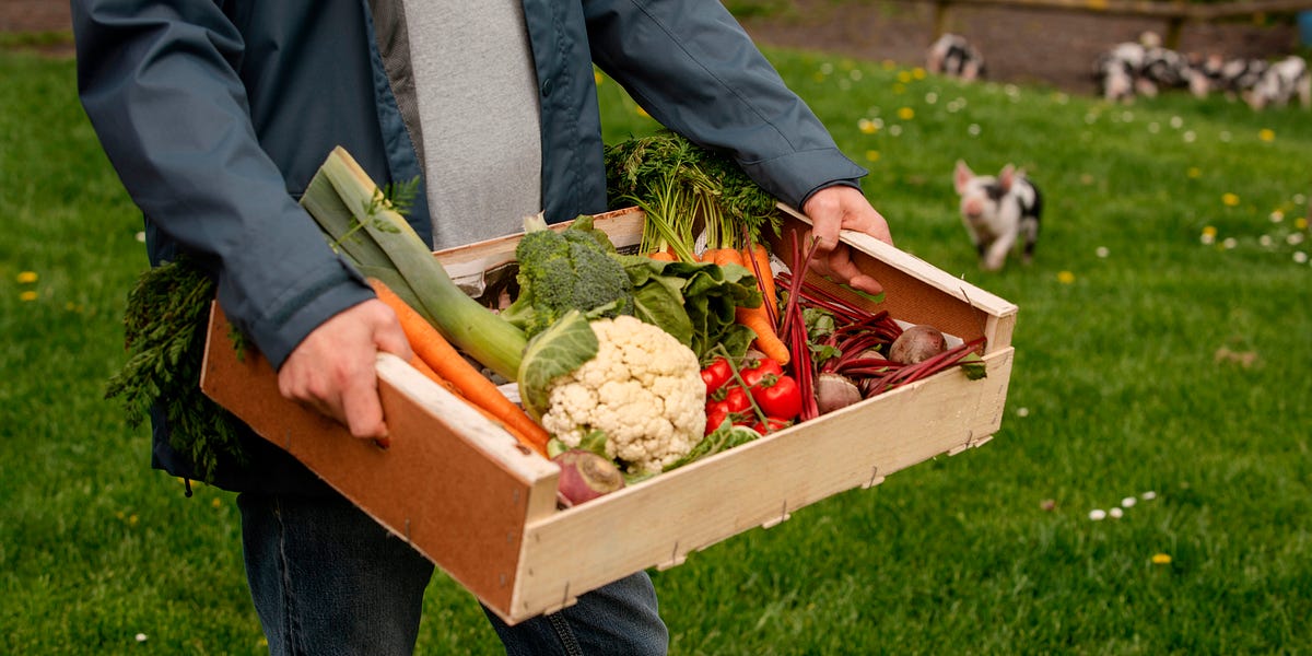 thewinepress.substack.com