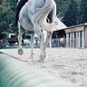 馬サポ（Wagi）のメルマガ