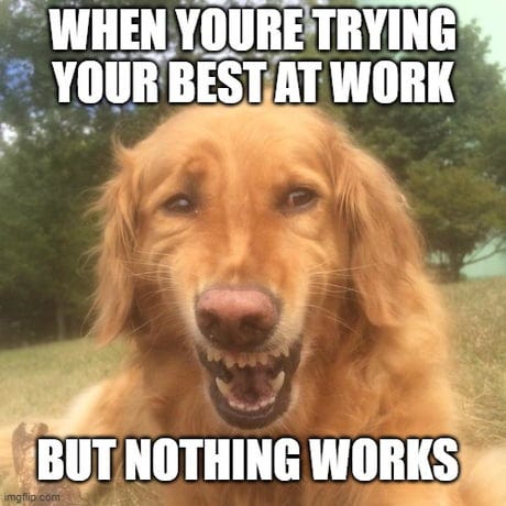 Woof !!! - 9GAG
