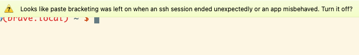 iTerm2 warning about paste bracketing iTerm2 warning about paste bracketing