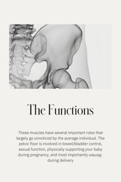 Learn about the basic functions of the pelvic floor and its importance in pregnancy and postpartum #pelvicfloor #pregnancy #postpartum