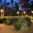 Five Things: National Security "Strategy", Liminal Spaces, Creator Commerce, Finding Ideas, MAGA State