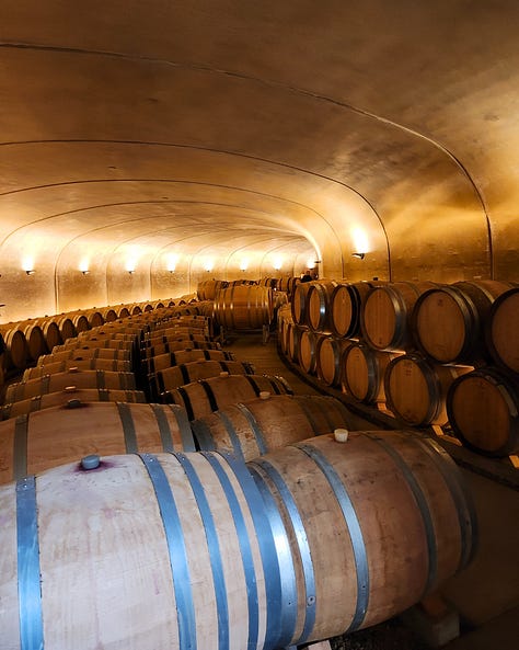 Luxury winery tour, beautiful cellar, vineyard soil, and Oregon wine country hospitality