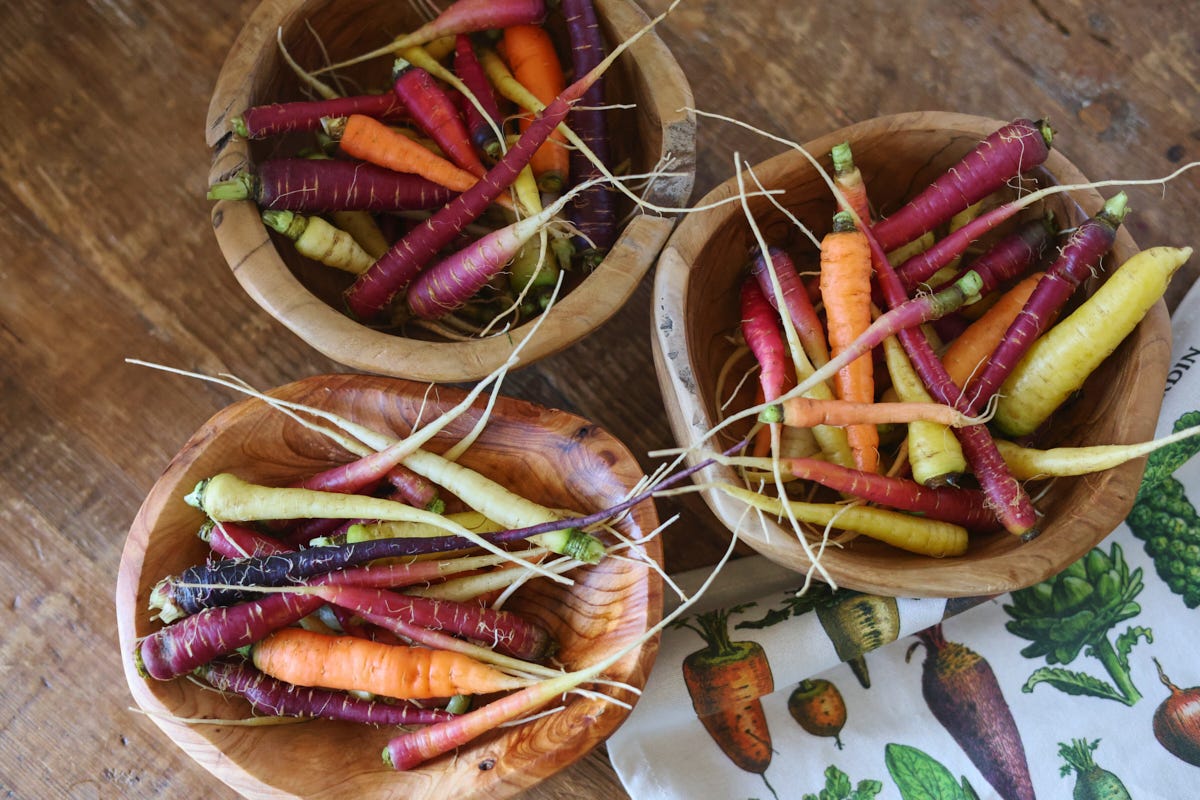 several varieties of harvested carrots in 3 wood bowls with a kitchen towel in the foreground