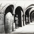 The Falcon's Children