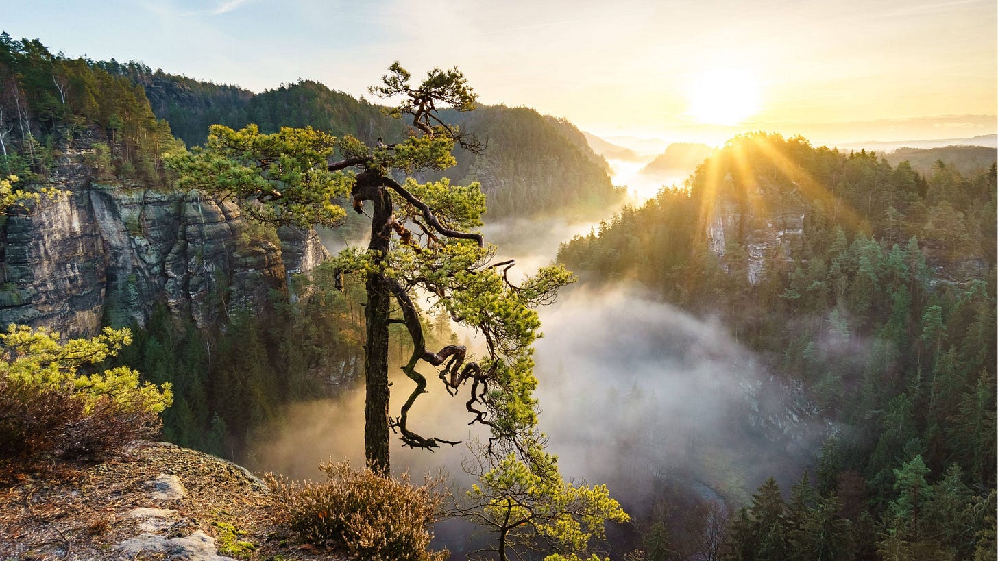 Download Enjoy the beautiful sunrise over a peaceful, natural landscape  Wallpaper | Wallpapers.com