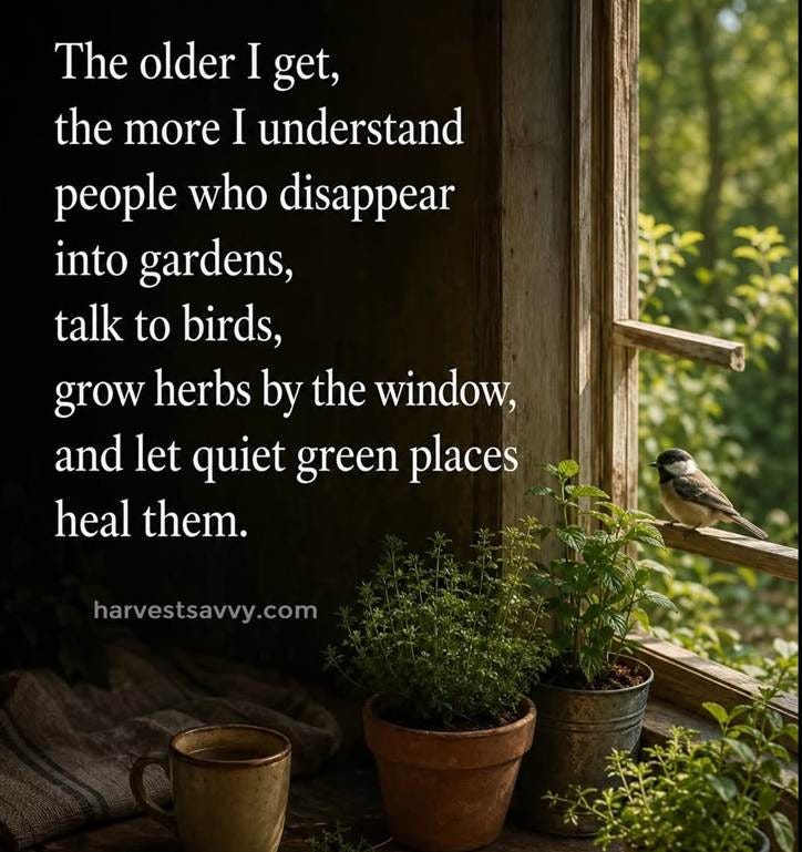 May be an image of text that says 'The older I get, the more I understand people who disappear into gardens, talk to birds, grow herbs by the window, and let quiet green places heal them. harvestsavvy.com'