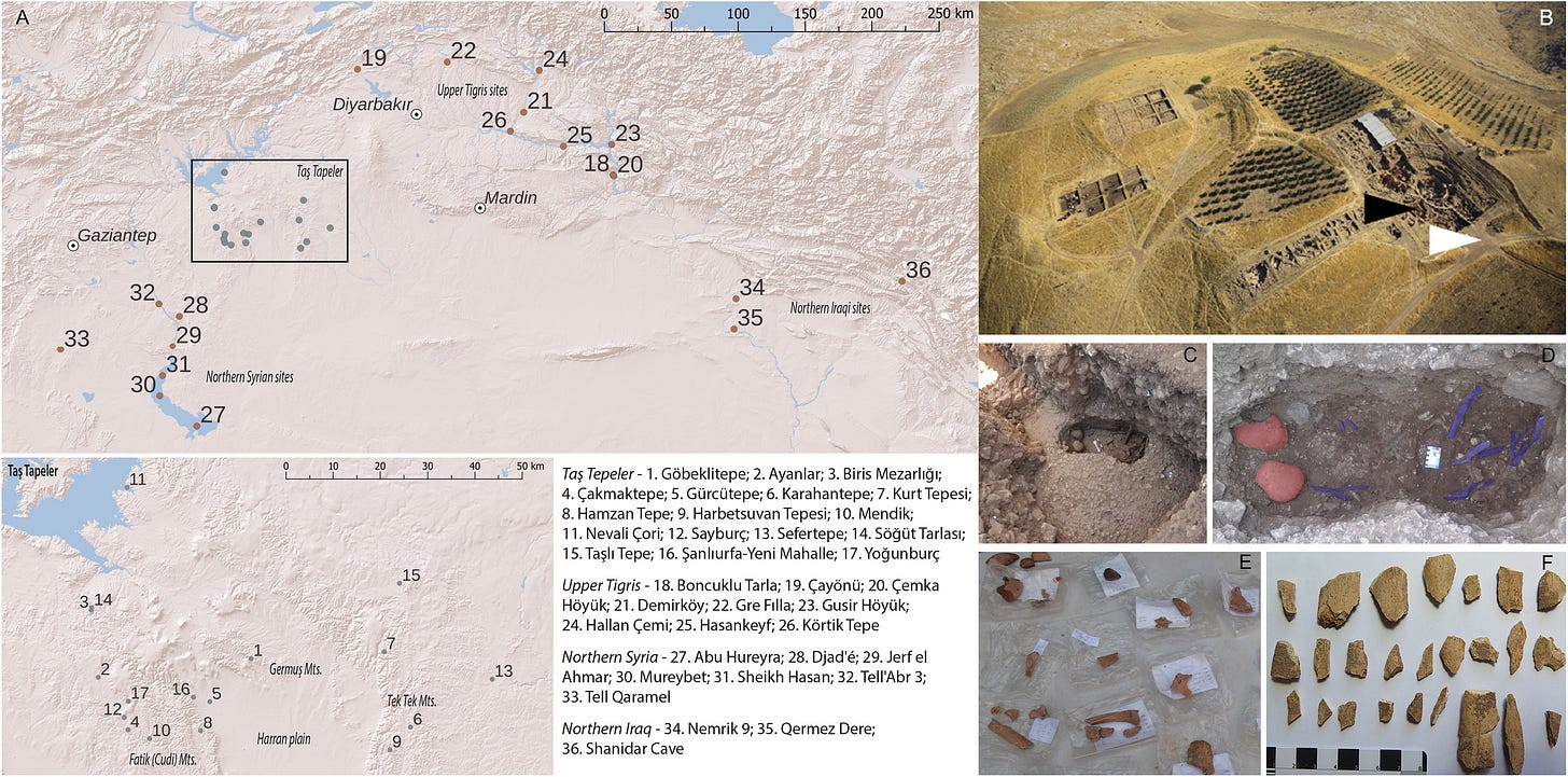 The site and the two burials, with the collective grave in panels C and D and the scattered bone fragments from the building fill in panels E and F. The site and the two burials, with the collective grave in panels C and D and the scattered bone fragments from the building fill in panels E and F.